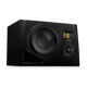 Midfield monitors Midfield monitors
